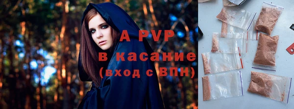 гашик Кодинск