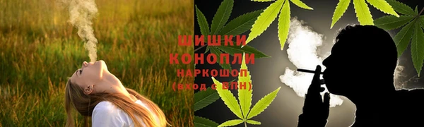 гашик Кодинск