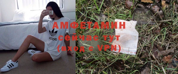 гашик Кодинск