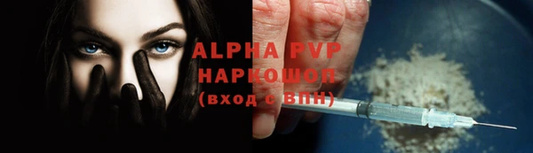 гашик Кодинск