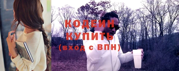 гашик Кодинск