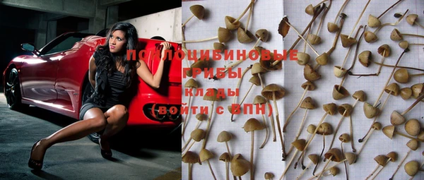 не бодяженный Козельск